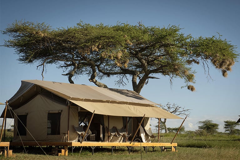 Siringit Serengeti Camp tent